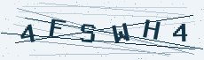 Six-character security code